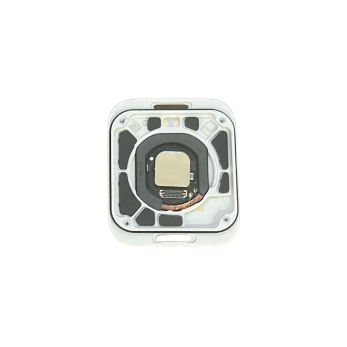 Apple Watch - Series SE (2nd) (40mm) - Genuine Pull Rear Coil — The ...