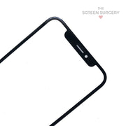 Iphone X Glass With Oca (Oem)