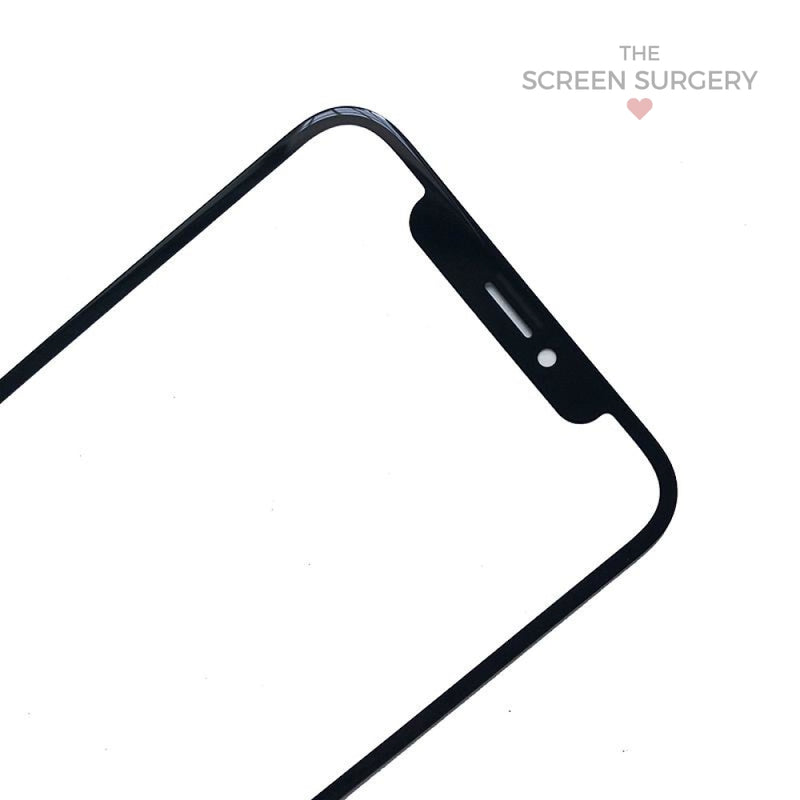 Iphone X Glass With Oca (Oem)