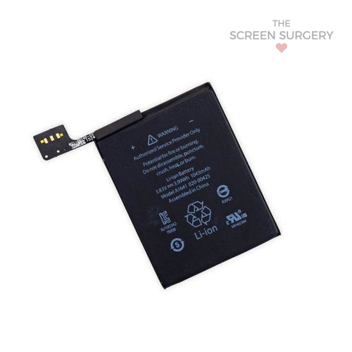 iPod Touch 6th Gen Battery - Platinum